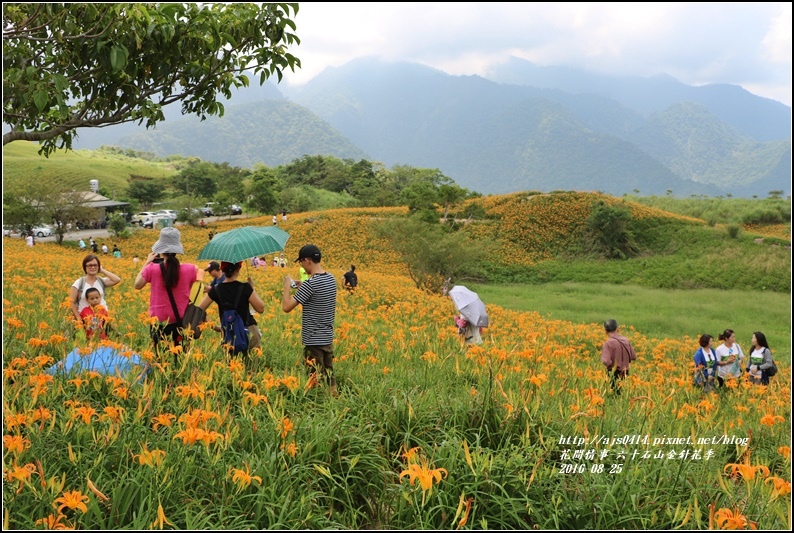 2016-六十石山金針花季-2016-08-19.jpg