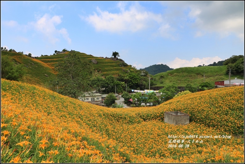 2016-六十石山金針花季-2016-08-31.jpg