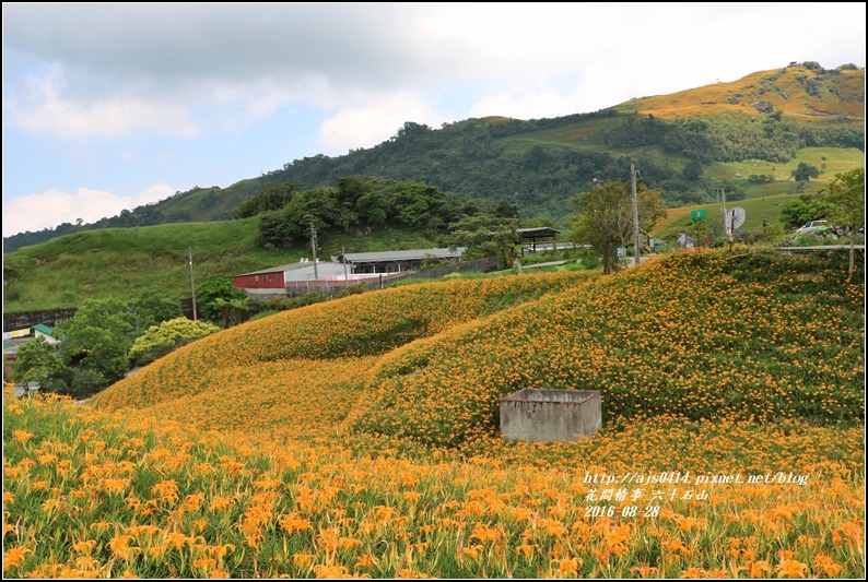 2016-六十石山金針花季-2016-08-32.jpg