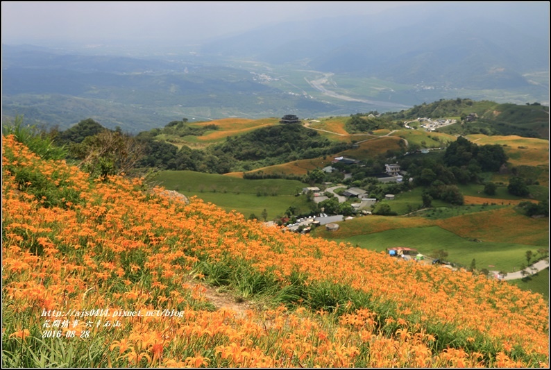 2016-六十石山金針花季-2016-08-50.jpg