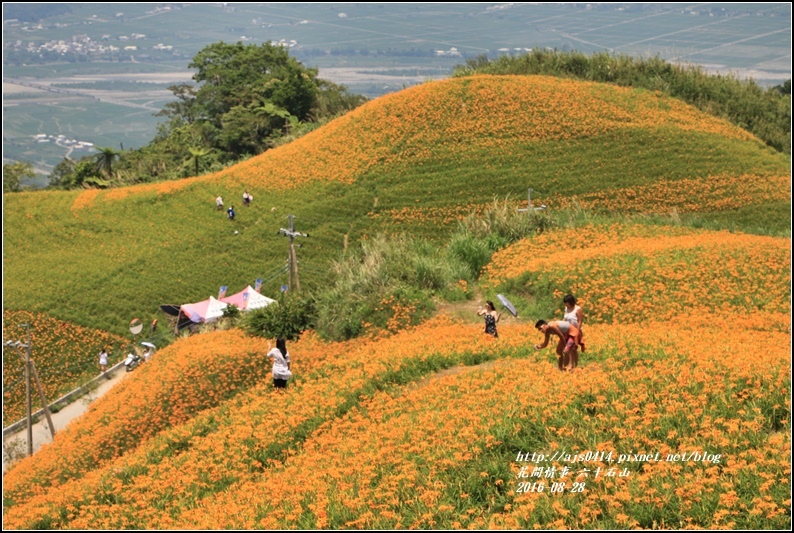 2016-六十石山金針花季-2016-08-51.jpg