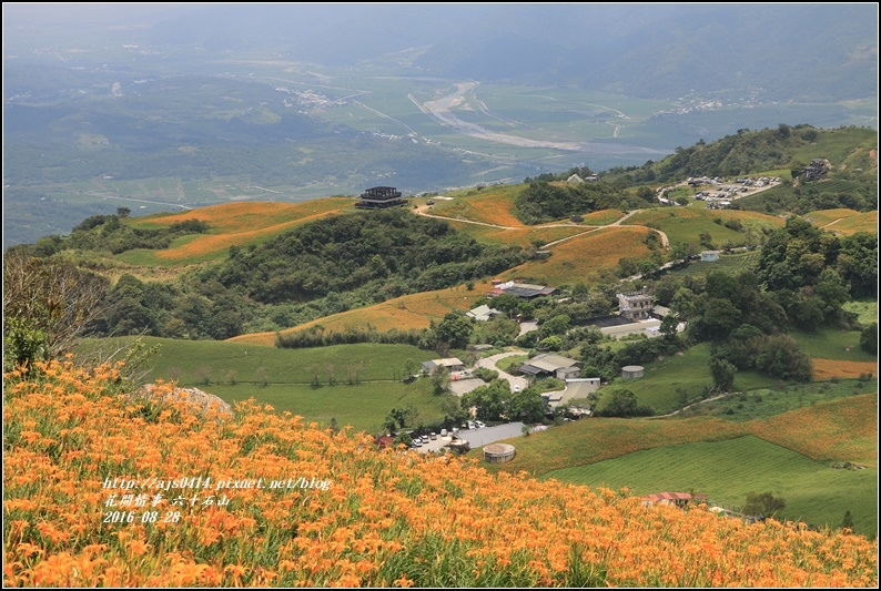 2016-六十石山金針花季-2016-08-54.jpg