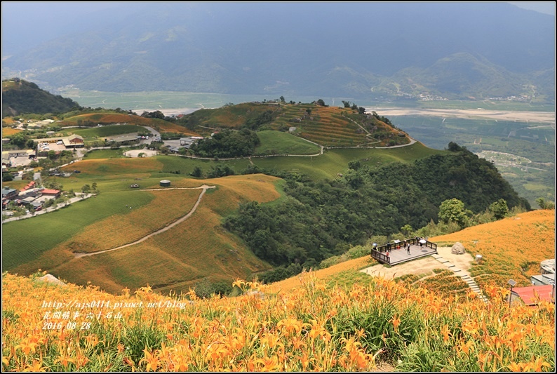 2016-六十石山金針花季-2016-08-55.jpg