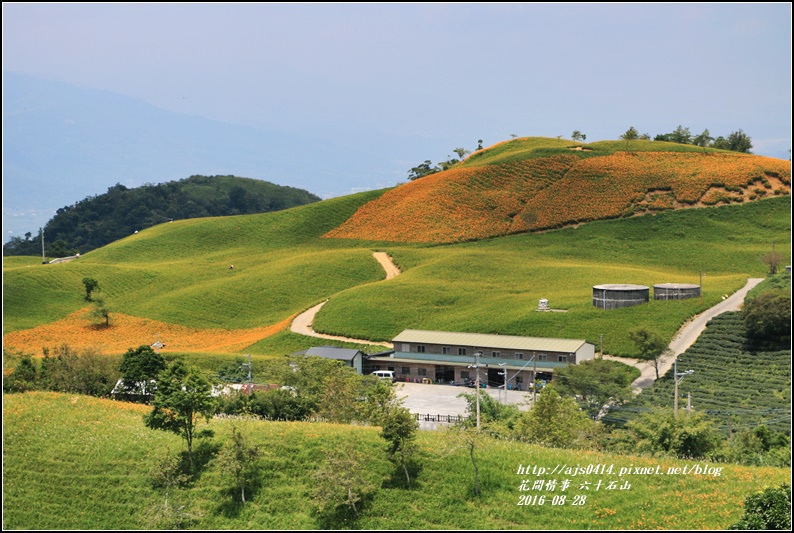 2016-六十石山金針花季-2016-08-56.jpg