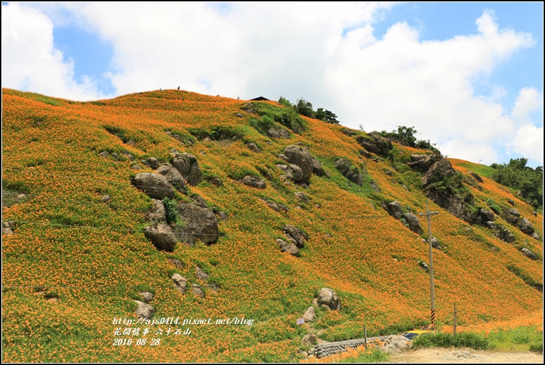 2016-六十石山金針花季-2016-08-60.jpg