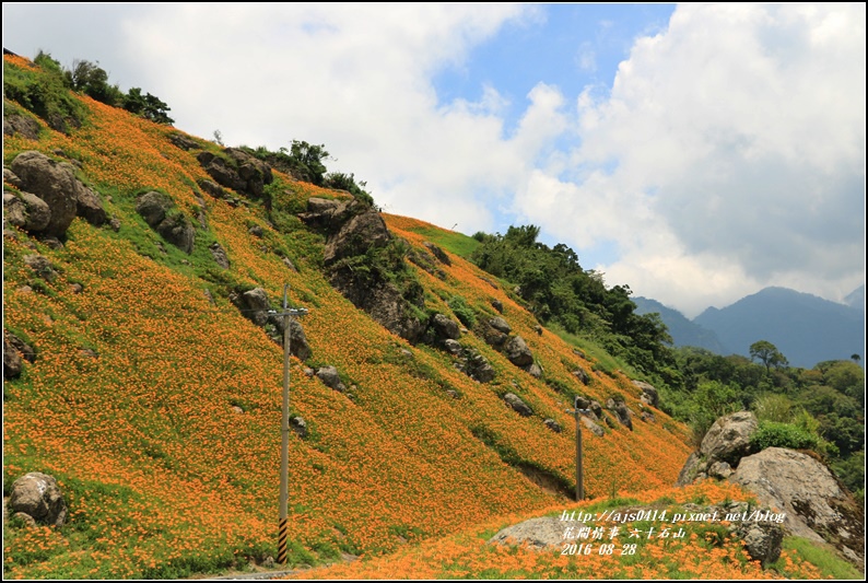 2016-六十石山金針花季-2016-08-61.jpg