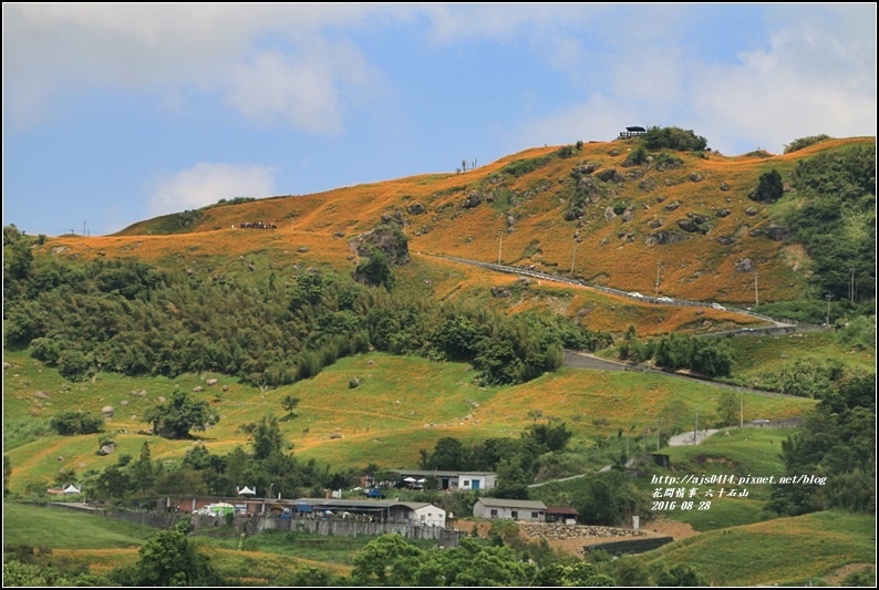 2016-六十石山金針花季-2016-08-68.jpg