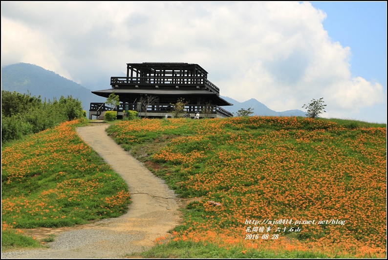 2016-六十石山金針花季-2016-08-69.jpg