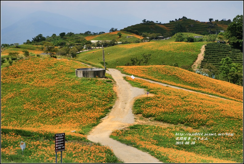 2016-六十石山金針花季-2016-08-74.jpg