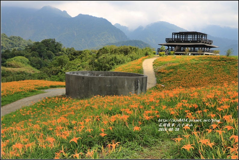 2016-六十石山金針花季-2016-08-83.jpg