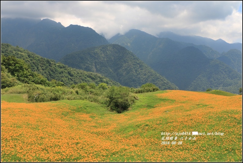 2016-六十石山金針花季-2016-08-85.jpg