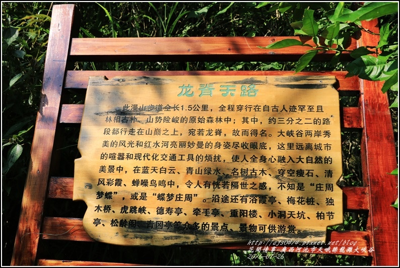 廣西池河市天峨縣龍灘大峽谷-2016-07-21.jpg