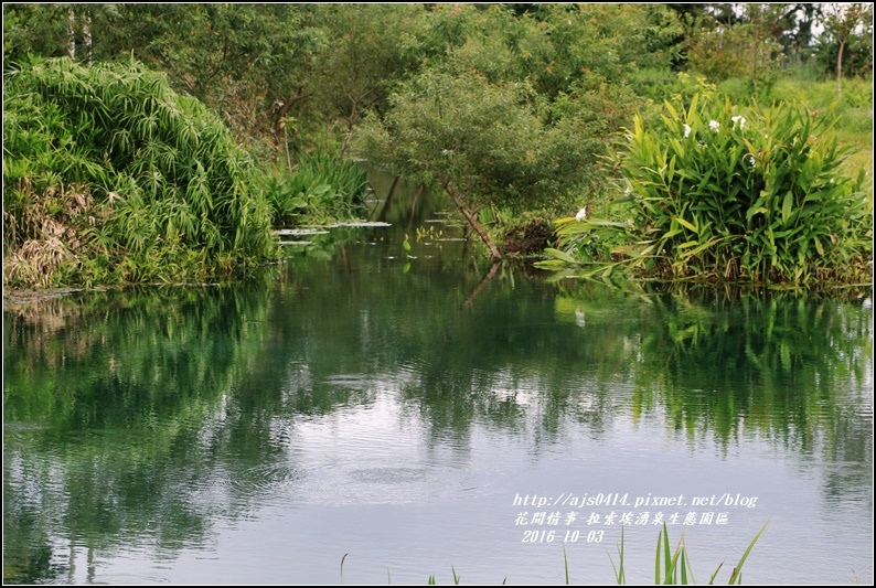 拉索埃湧泉生態園區-2016-10-11.jpg