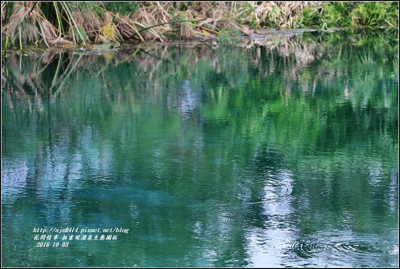 拉索埃湧泉生態園區-2016-10-13.jpg