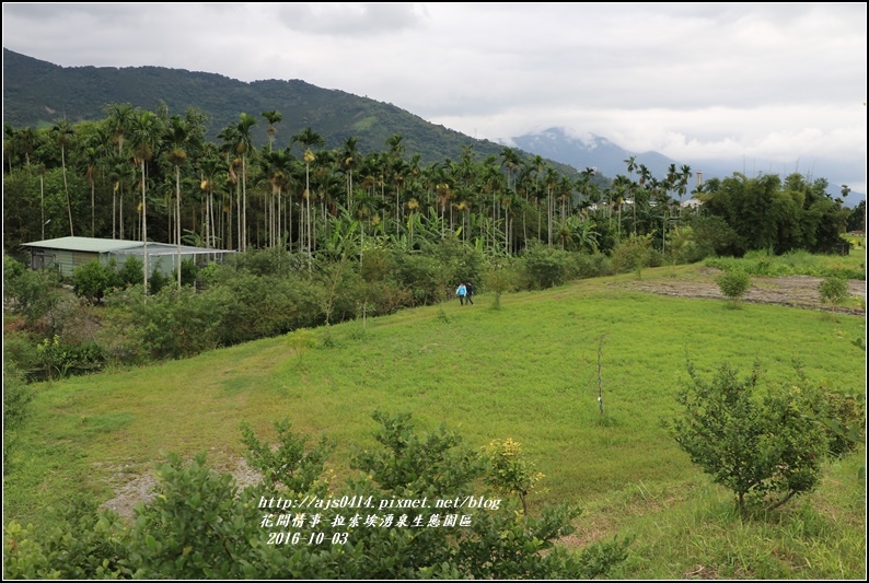 拉索埃湧泉生態園區-2016-10-17.jpg