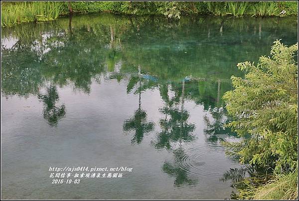 拉索埃湧泉生態園區-2016-10-19.jpg