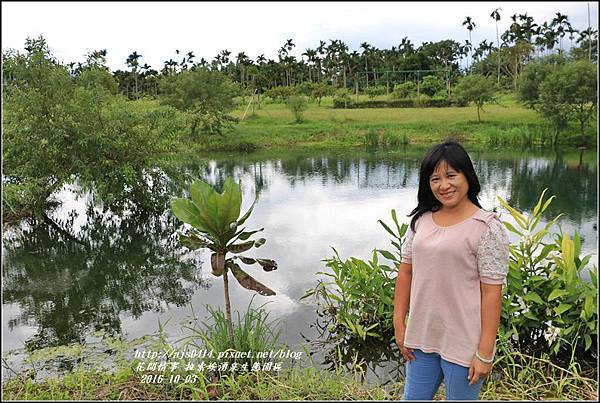 拉索埃湧泉生態園區-2016-10-21.jpg