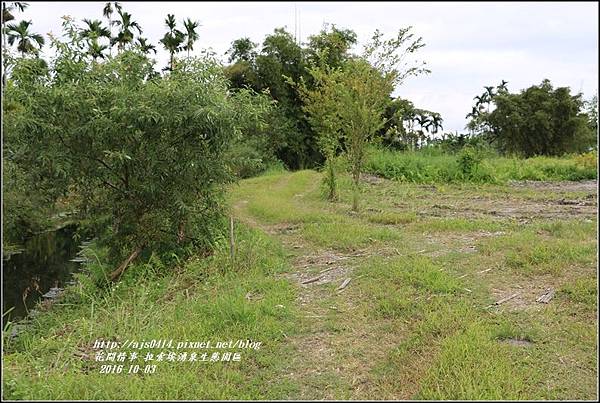 拉索埃湧泉生態園區-2016-10-24.jpg