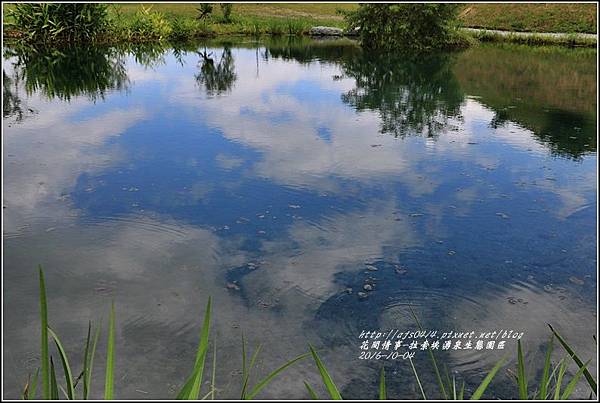 拉索埃湧泉生態園區-2016-10-32.jpg