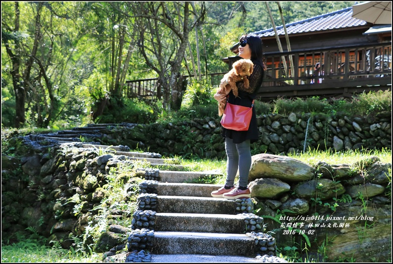 林田山文化園區-2016-10-32.jpg