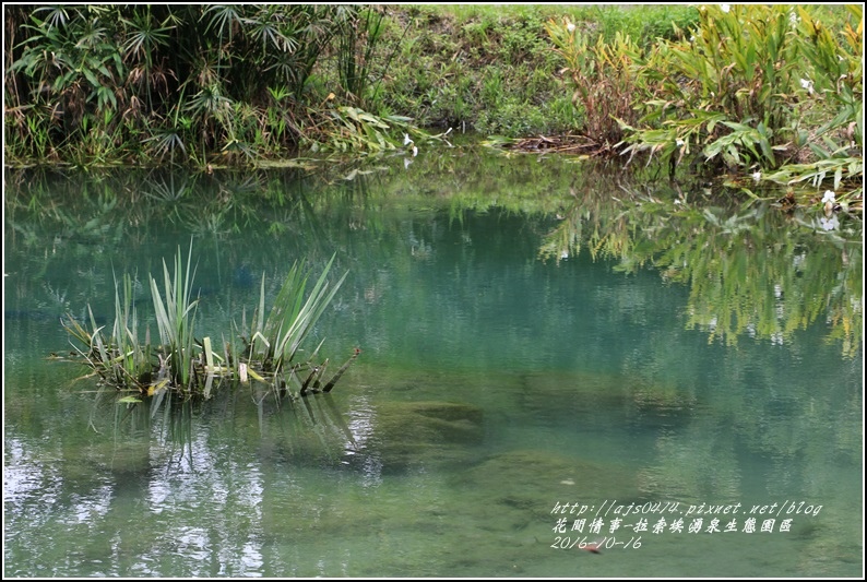 拉索埃湧泉生態園區-2016-10-50.jpg