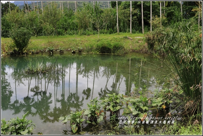 拉索埃湧泉生態園區-2016-10-51.jpg