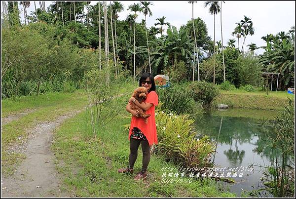 拉索埃湧泉生態園區-2016-10-55.jpg