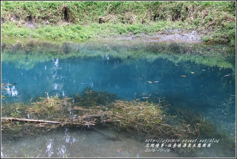 拉索埃湧泉生態園區-2016-10-61.jpg