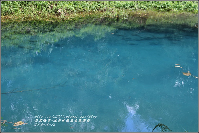 拉索埃湧泉生態園區-2016-10-62.jpg