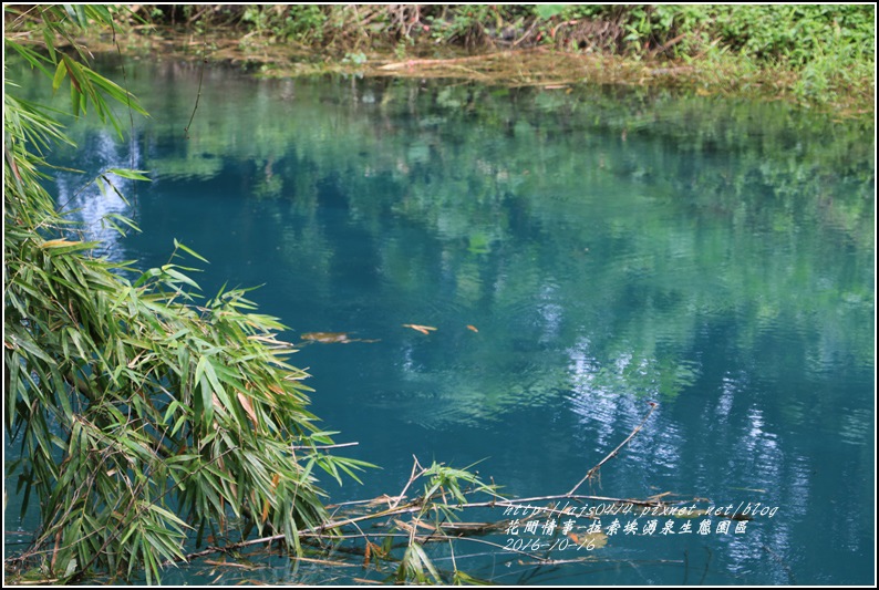 拉索埃湧泉生態園區-2016-10-64.jpg