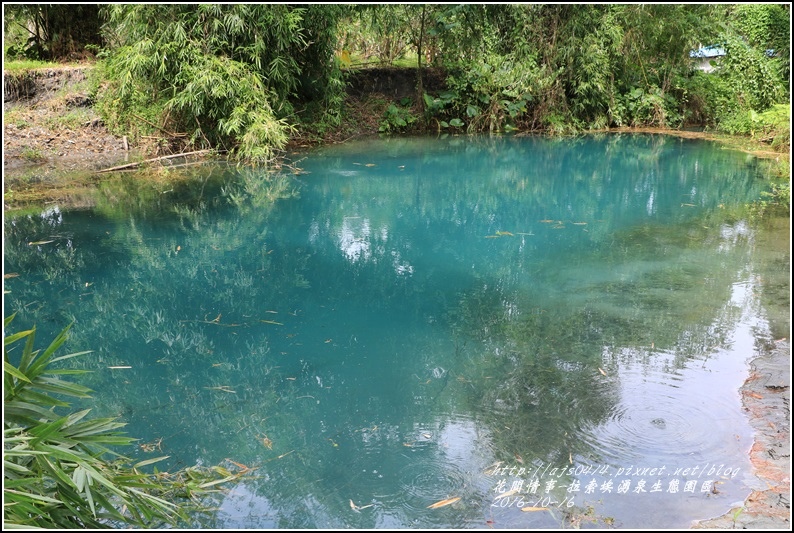 拉索埃湧泉生態園區-2016-10-66.jpg