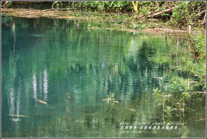 拉索埃湧泉生態園區-2016-10-69.jpg