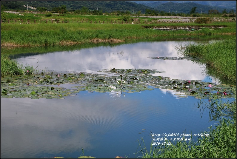 玉里啟模濕地-2016-10-22.jpg