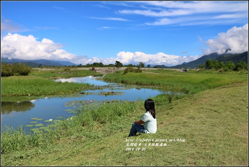 玉里啟模濕地-2016-10-25.jpg