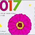 2017北回歸線百日草花海.jpg