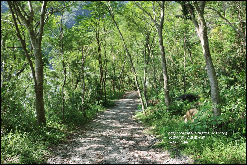 小錐麓步道-2016-11-43.jpg 小錐麓步道-2016-11-43.jpg