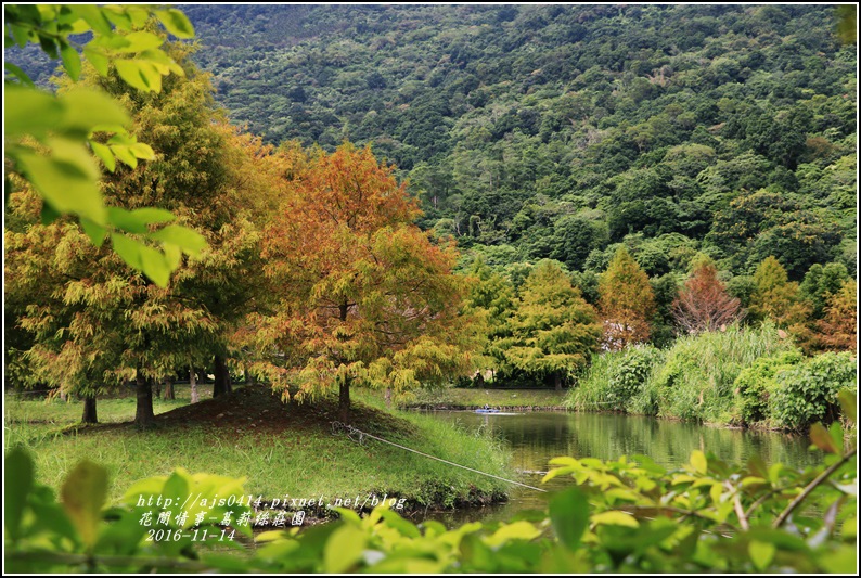 葛莉絲莊園落羽松-2016-11-02.jpg