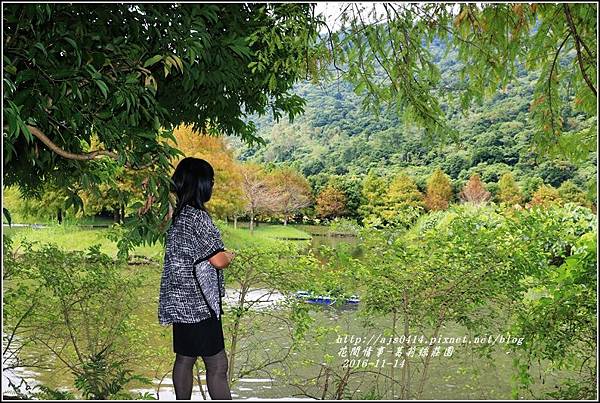 葛莉絲莊園落羽松-2016-11-07.jpg