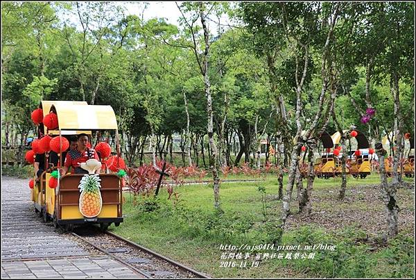 富興村鳳梨公園-2016-11-13.jpg