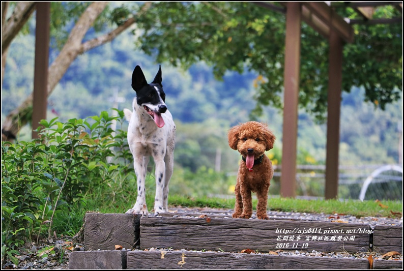 富興村鳳梨公園-2016-11-17.jpg