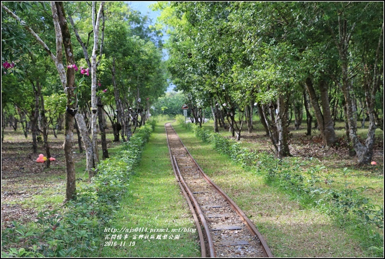 富興村鳳梨公園-2016-11-32.jpg