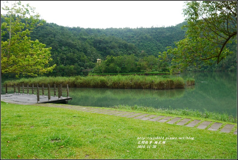 湖花湖-2016-11-14.jpg