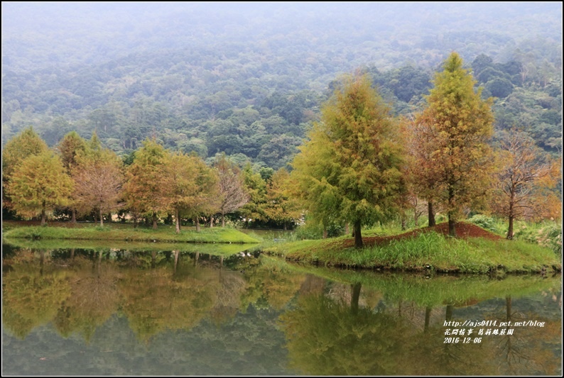 葛莉絲莊園-2016-12-02.jpg