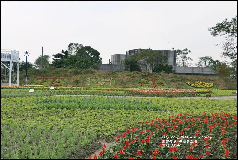 國福里花海-2016-12-25.jpg