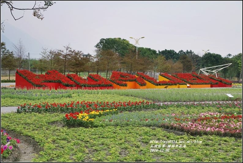 國福里花海-2016-12-28.jpg