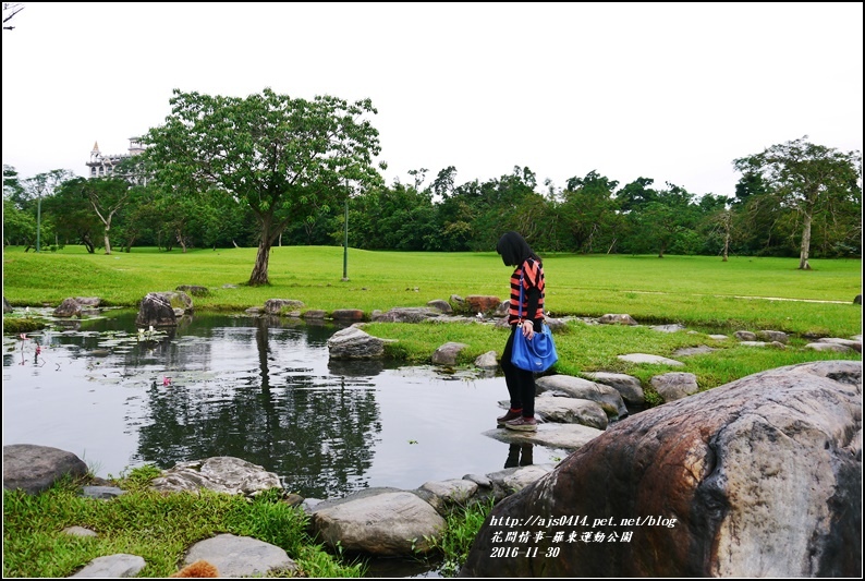 羅東運動公園-2016-11-22.jpg