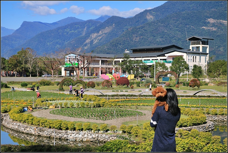 池上四季花海-2016-12-01.jpg