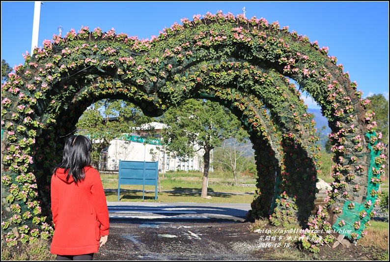 池上四季花海-2016-12-18.jpg