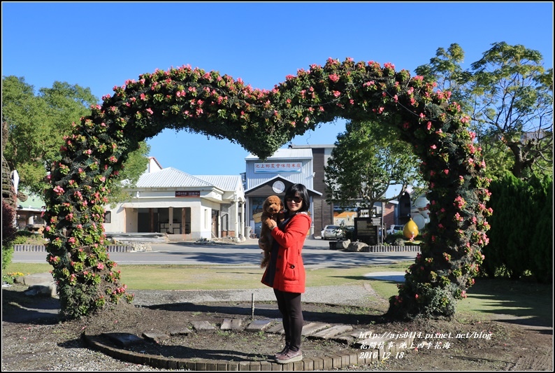 池上四季花海-2016-12-25.jpg