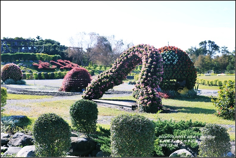 池上四季花海-2016-12-28.jpg